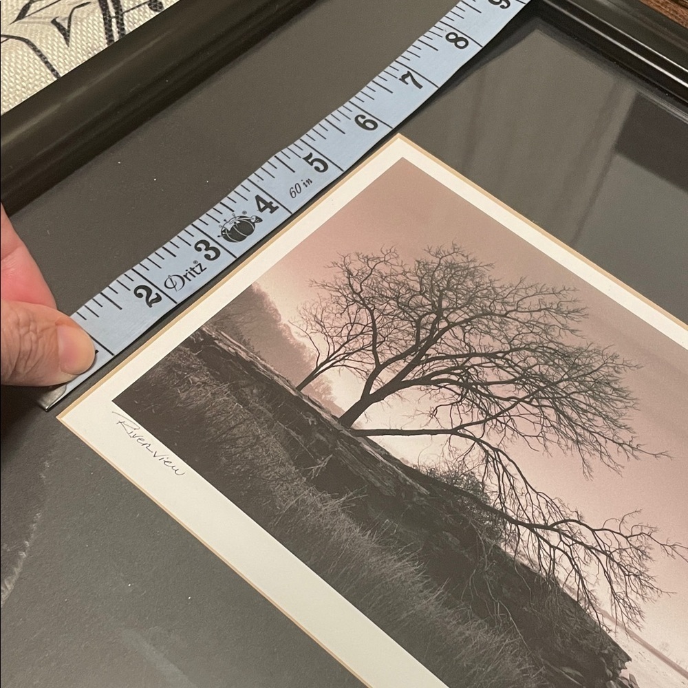 Richard Calvo Riverview Professional Framed Black and White Tree Photograph - Picture 10 of 10